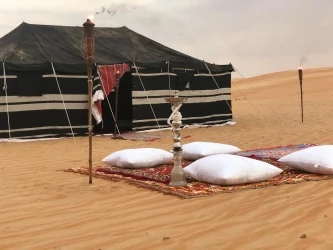 Abu Dhabi Desert Safari Trips, dune bashing, camel rides, Bedouin culture