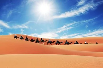 Camel Trekking in Abu Dhabi Desert