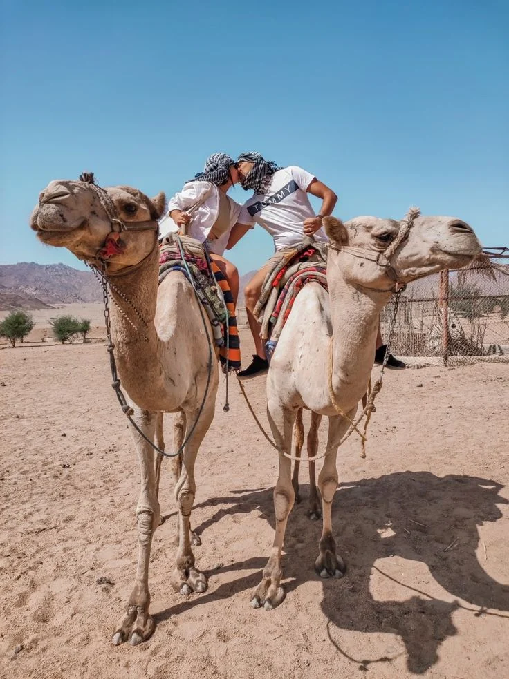 Camel Trekking with Luxury Dinner and Camping