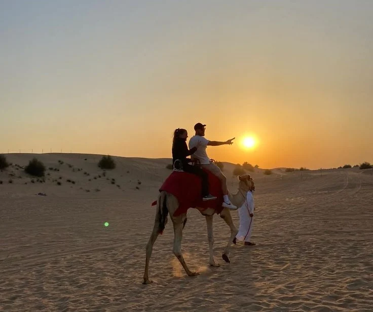 Sunset Camel Trekking