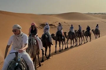 Top Camel Trekking Routes in Abu Dhabi You Must Explore