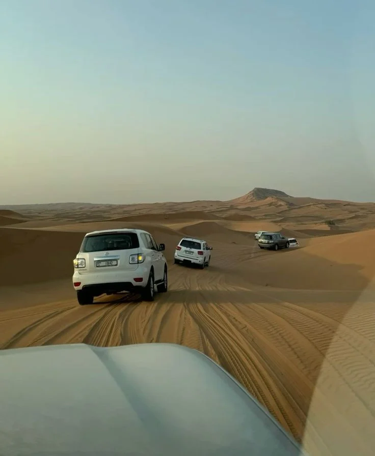 Best Abu Dhabi Desert Safari